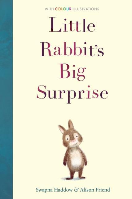 Little Rabbit's Big Surprise : 1 - The Cleeve Bookshop