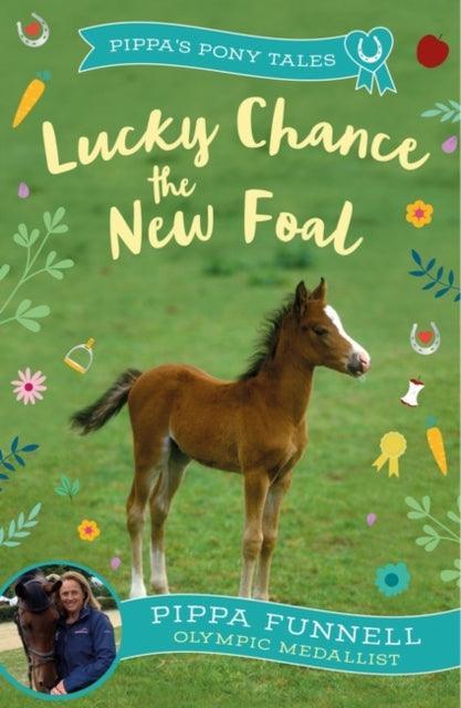 Lucky Chance the New Foal - The Cleeve Bookshop