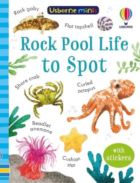 Rock Pool Life to Spot - The Cleeve Bookshop