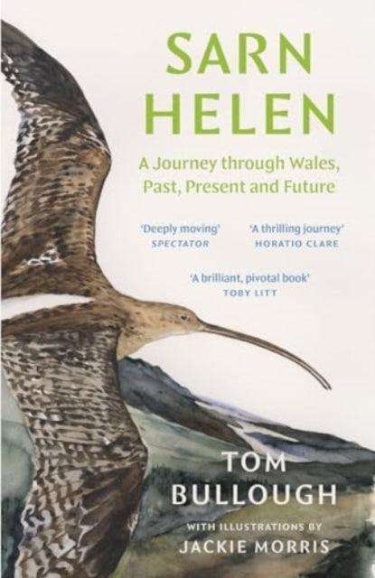 Sarn Helen : A Journey Through Wales, Past, Present and Future - The Cleeve Bookshop