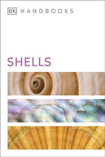 Shells - The Cleeve Bookshop