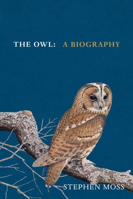 The Owl : A Biography - 9781529908268