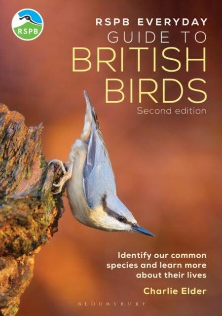 The RSPB Everyday Guide to British Birds : Identify our common species and learn more about their lives - The Cleeve Bookshop