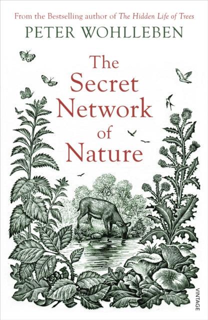 The Secret Network of Nature : The Delicate Balance of All Living Things - 9781784708498